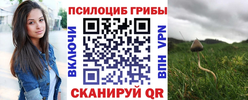Купить  Елабуга  Псилоцибиновые грибы мухоморы 